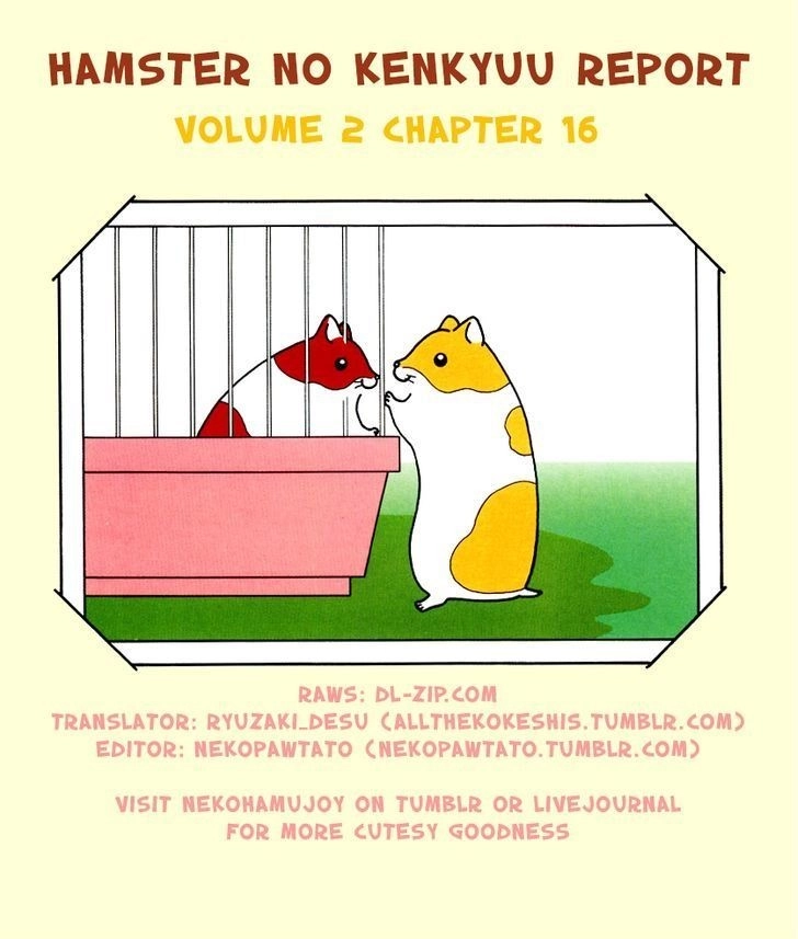 Hamster no Kenkyuu Report Chapter 16 9